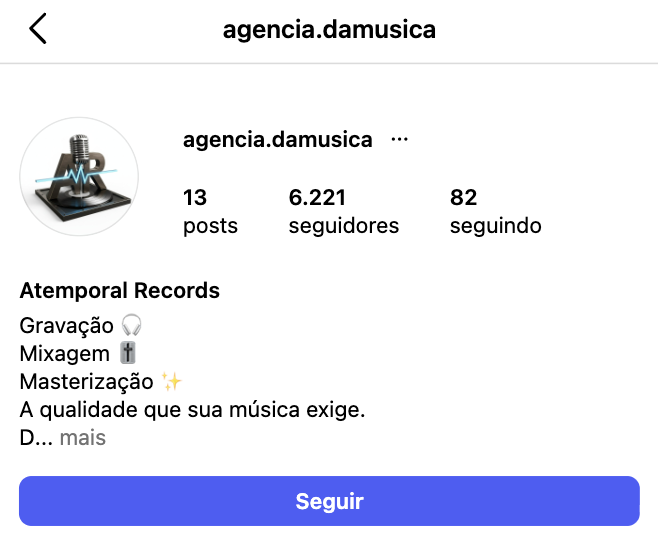 Perfil depois com muitos seguidores